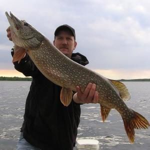 Meet your Posher, Dan